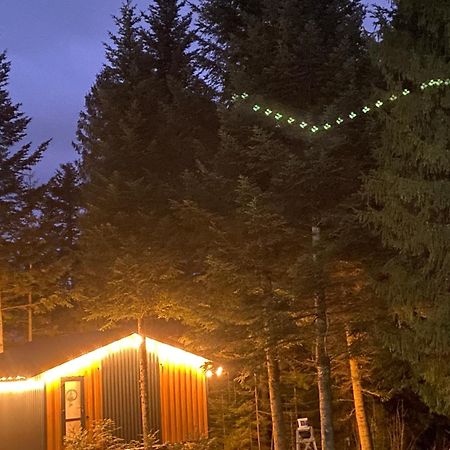 Skhidnytsia Феєрія Лісуアパートホテル エクステリア 写真