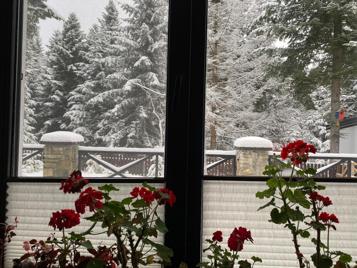 Skhidnytsia Феєрія Лісуアパートホテル エクステリア 写真