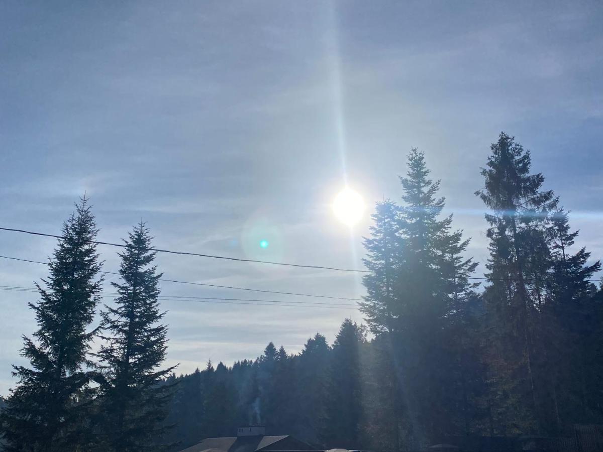Skhidnytsia Феєрія Лісуアパートホテル エクステリア 写真