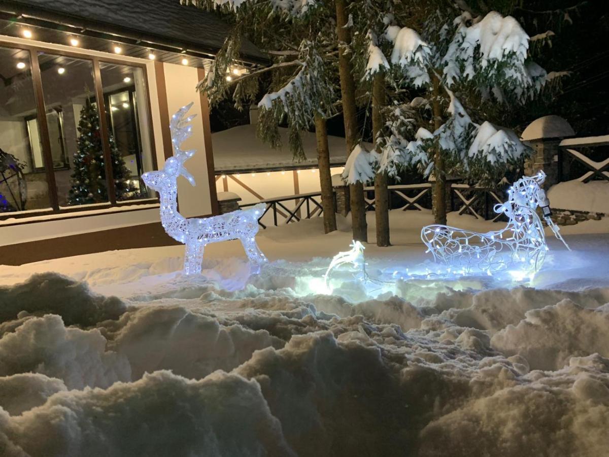 Skhidnytsia Феєрія Лісуアパートホテル エクステリア 写真